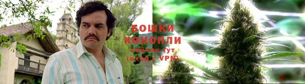стафф Каменногорск