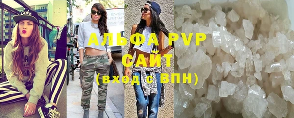 стафф Каменногорск