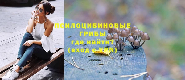 стафф Каменногорск